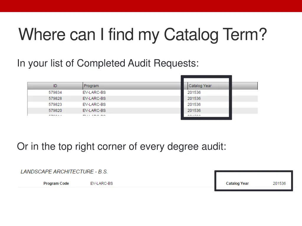 where can i find my catalog term