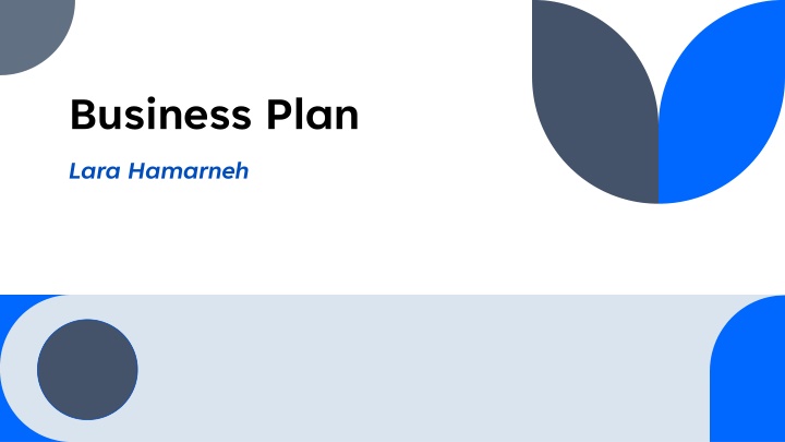 business plan lara hamarneh