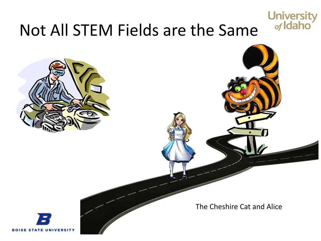 not all stem fields are the same