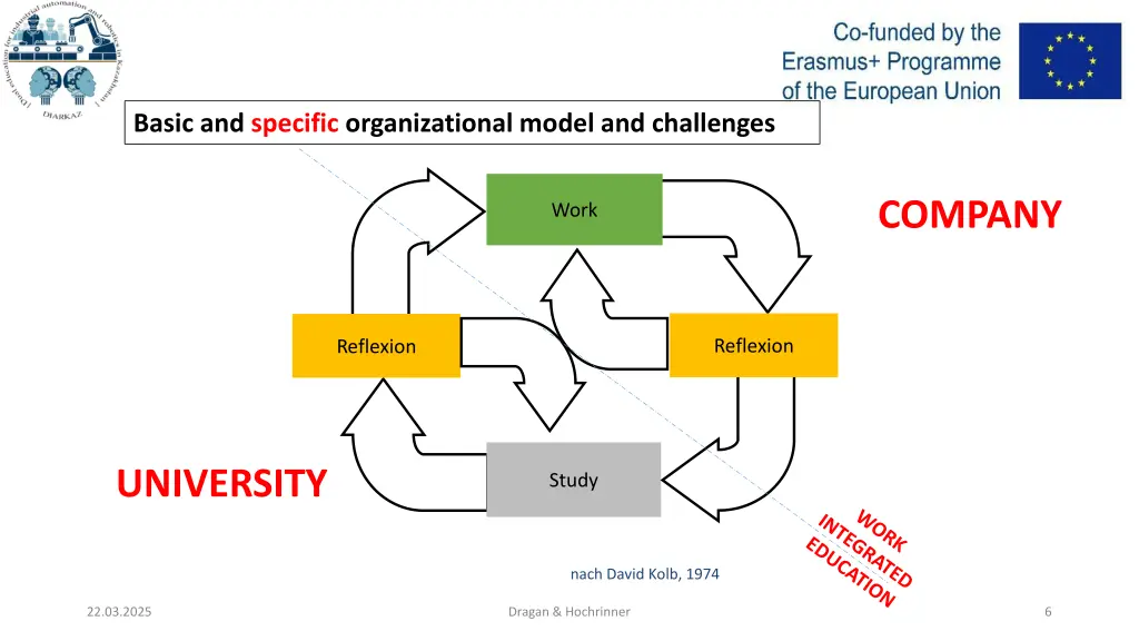 basic and specific organizational model