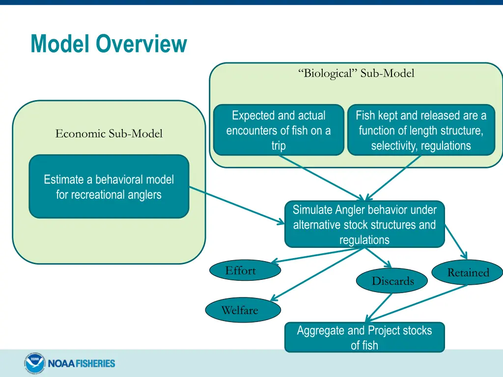 model overview 2