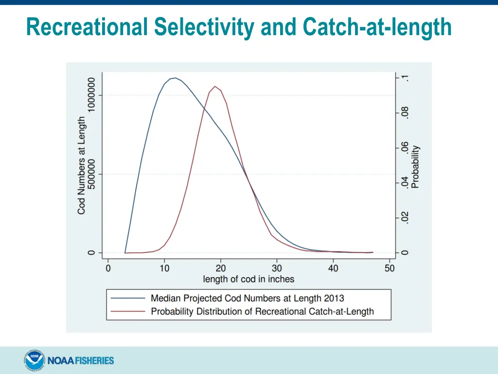 recreational selectivity and catch at length