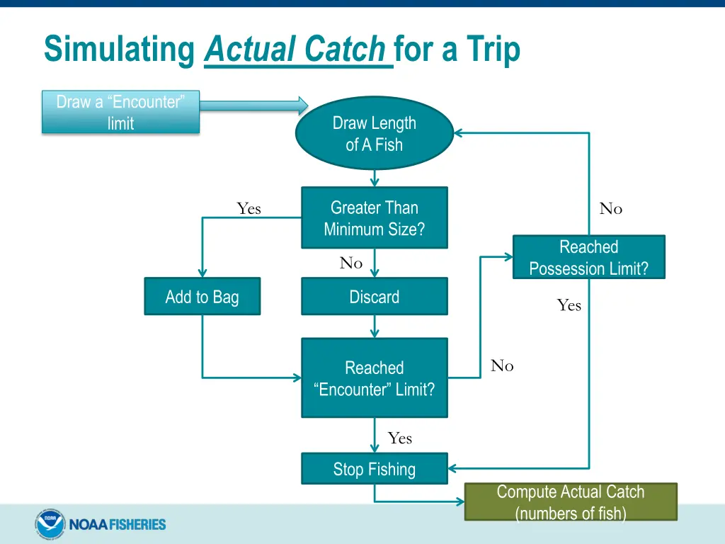 simulating actual catch for a trip