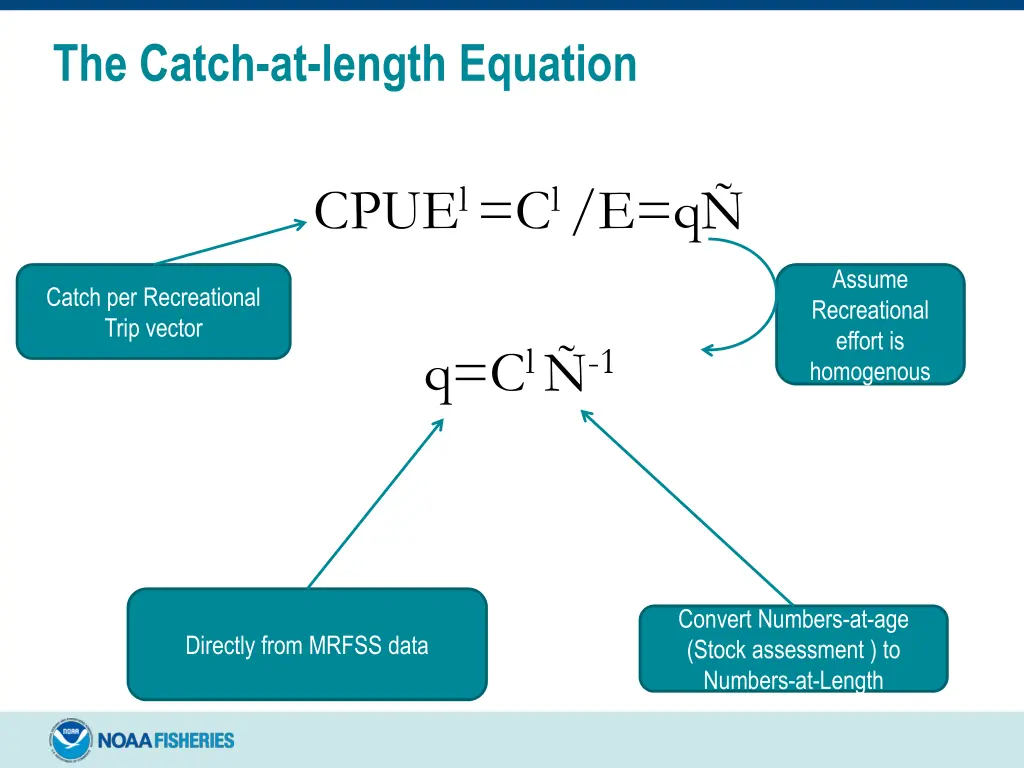 the catch at length equation