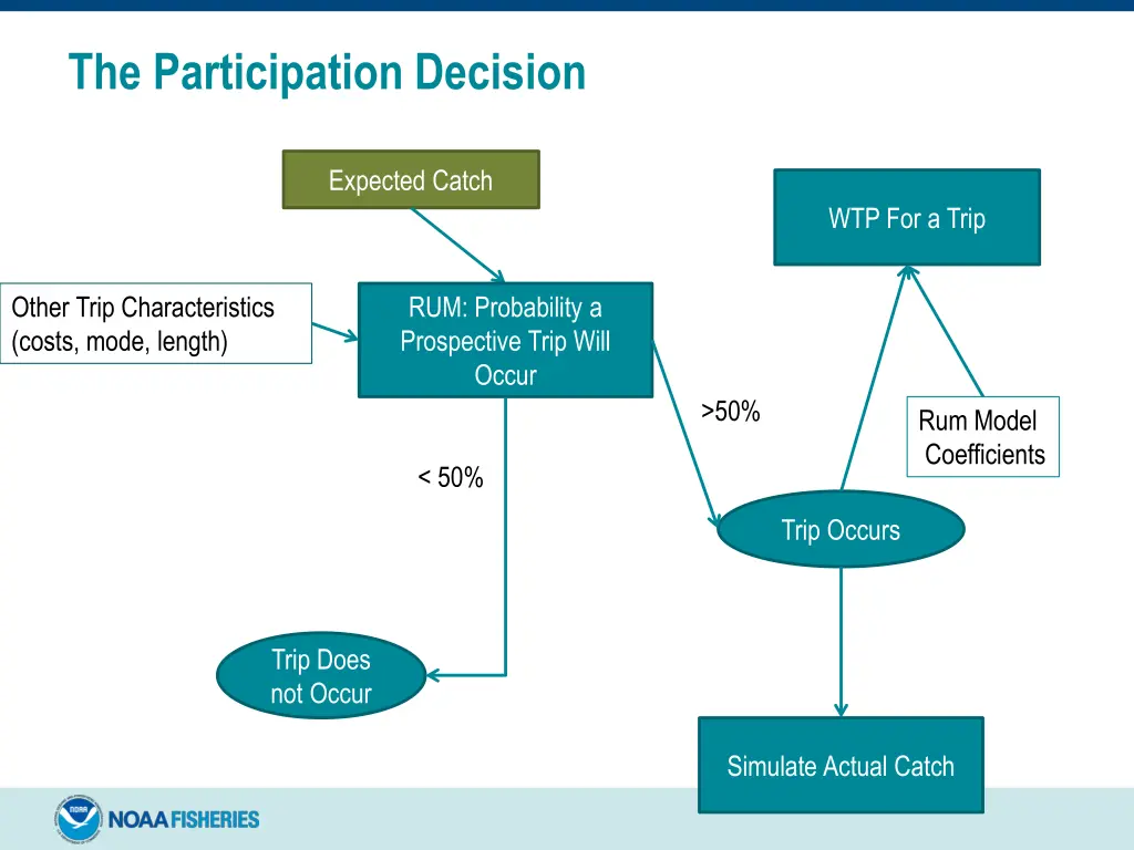 the participation decision