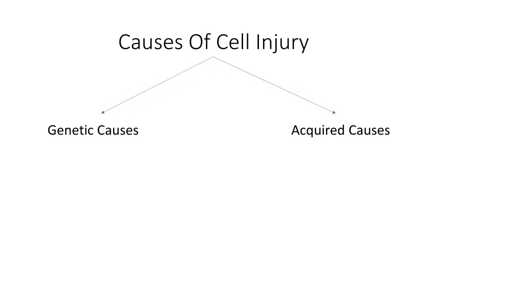 causes of cell injury