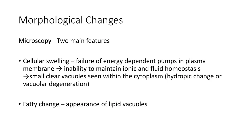 morphological changes