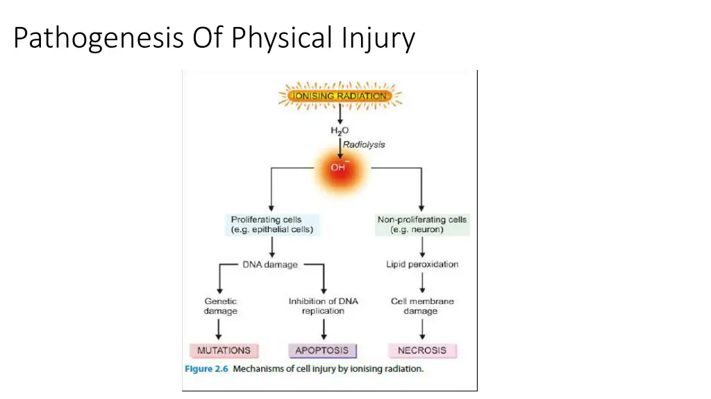 pathogenesis of physical injury