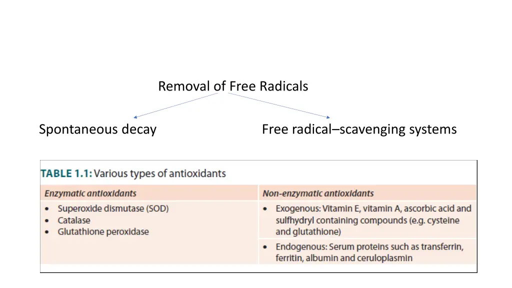removal of free radicals