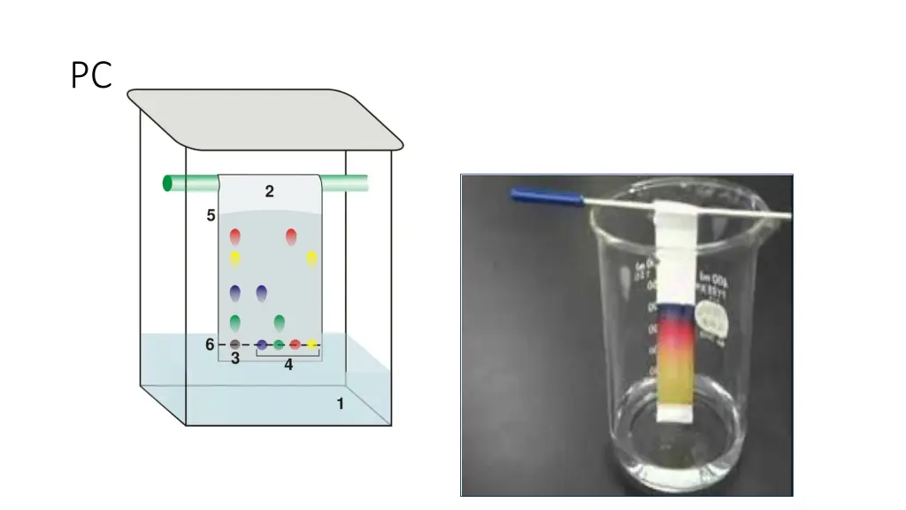 slide10