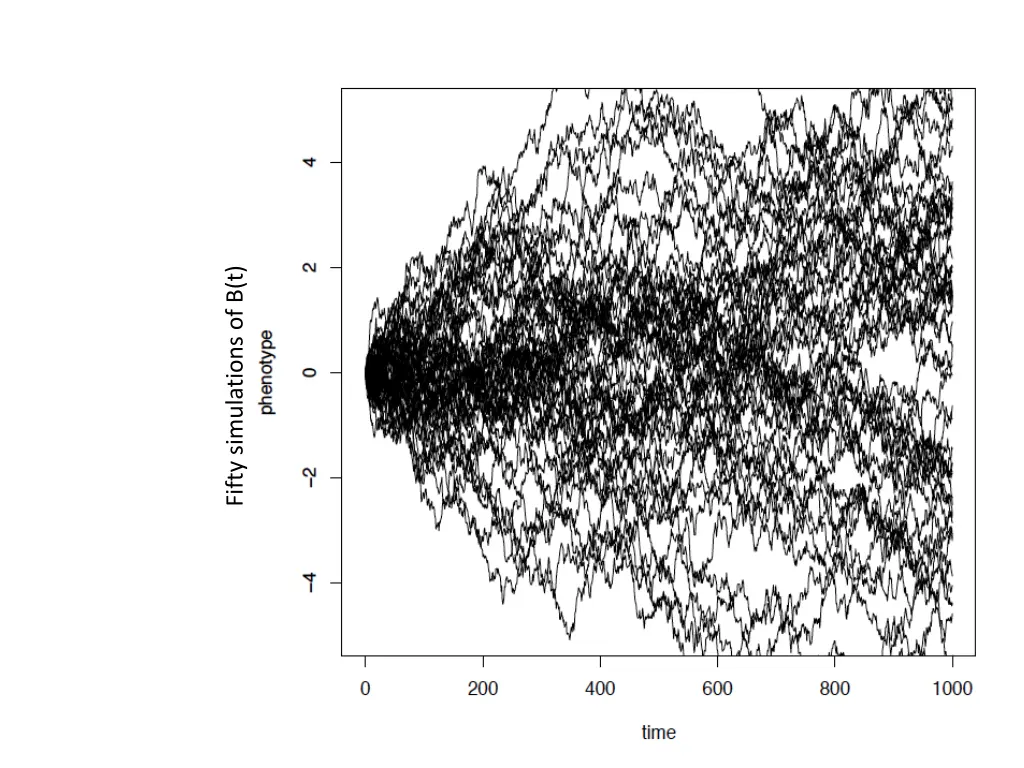 fifty simulations of b t