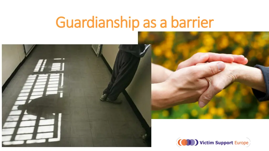 guardianship as a barrier guardianship