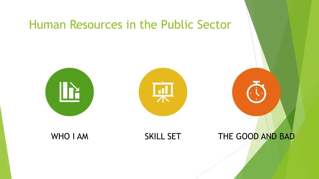 human resources in the public sector