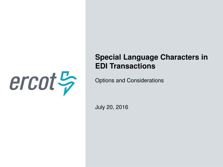 special language characters in edi transactions