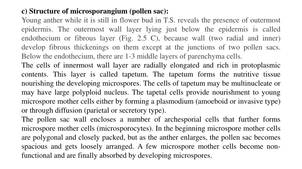c structure of microsporangium pollen sac young