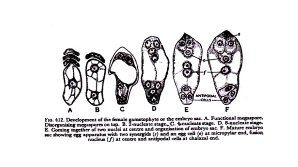 slide14