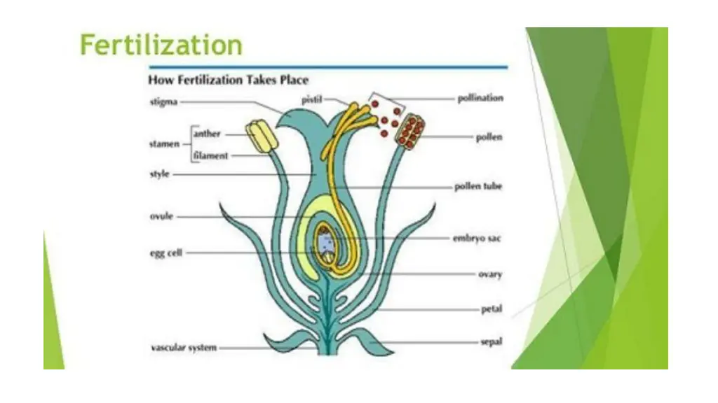 slide16