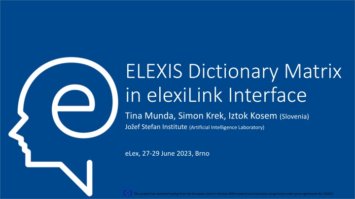 elexis dictionary matrix in elexilink interface