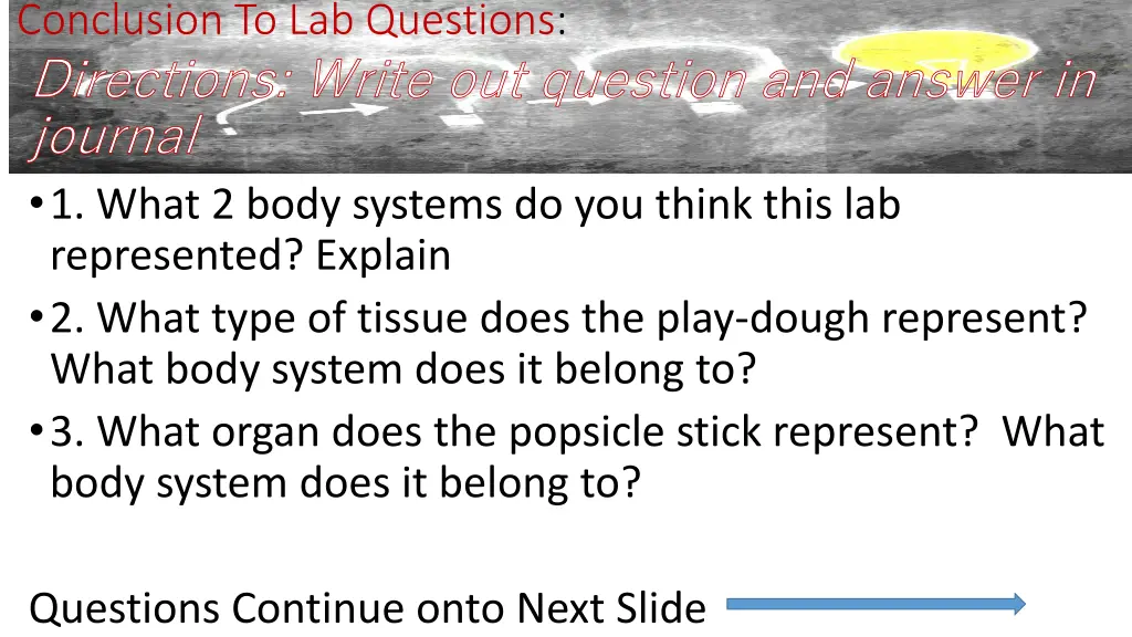 conclusion to lab questions directions write