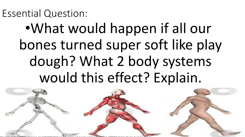 essential question what would happen