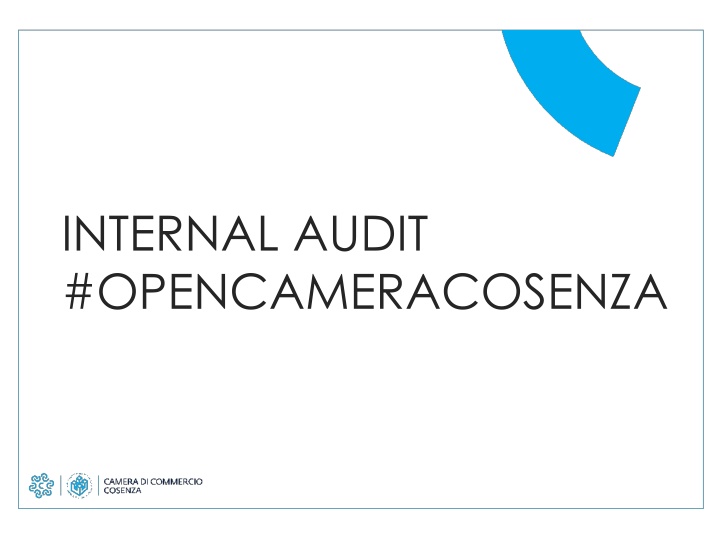 internal audit opencameracosenza