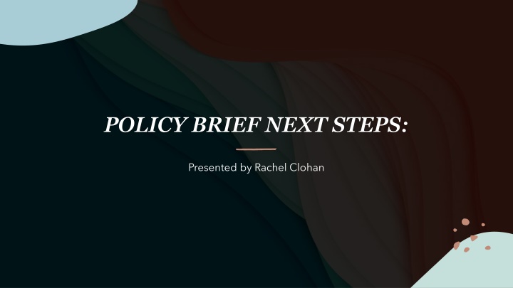 policy brief next steps