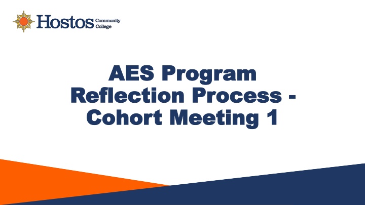 aes program aes program reflection process