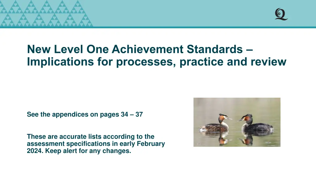 new level one achievement standards implications