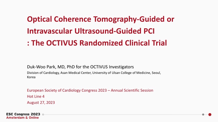 optical coherence tomography guided