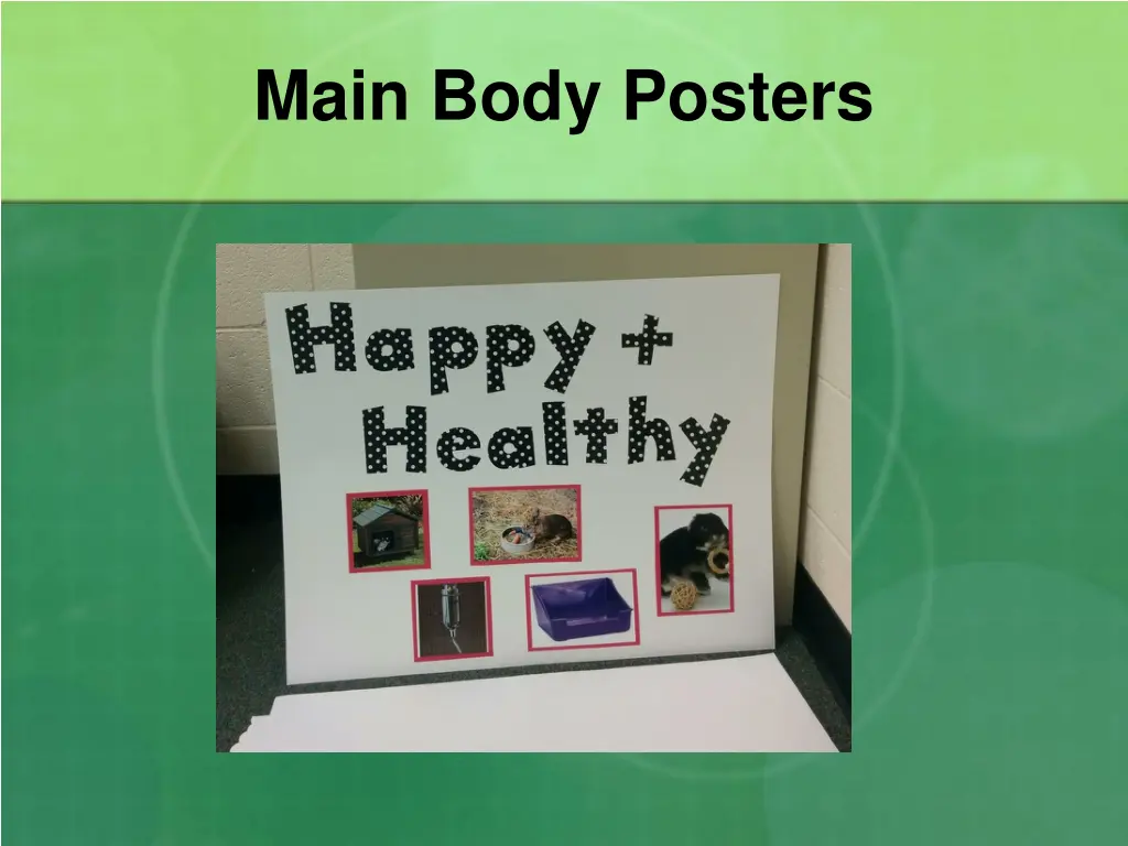 main body posters 2