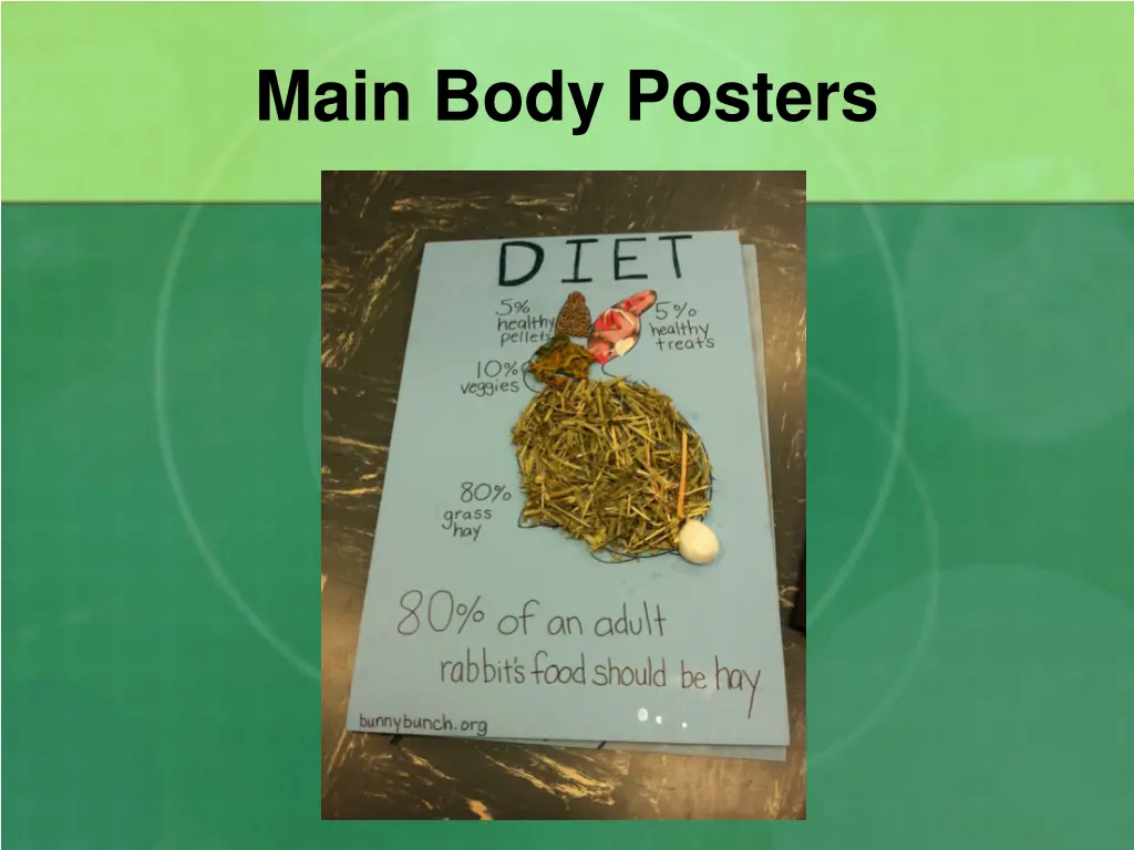 main body posters 5