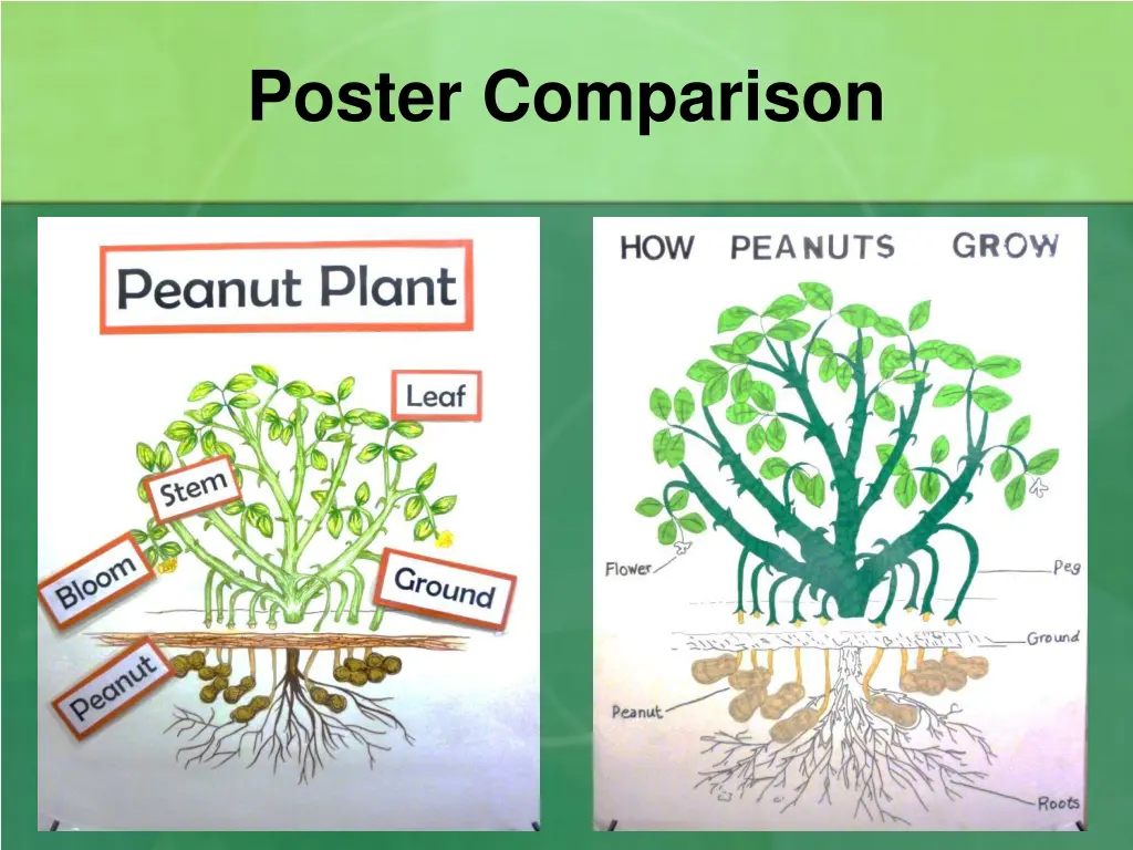 poster comparison