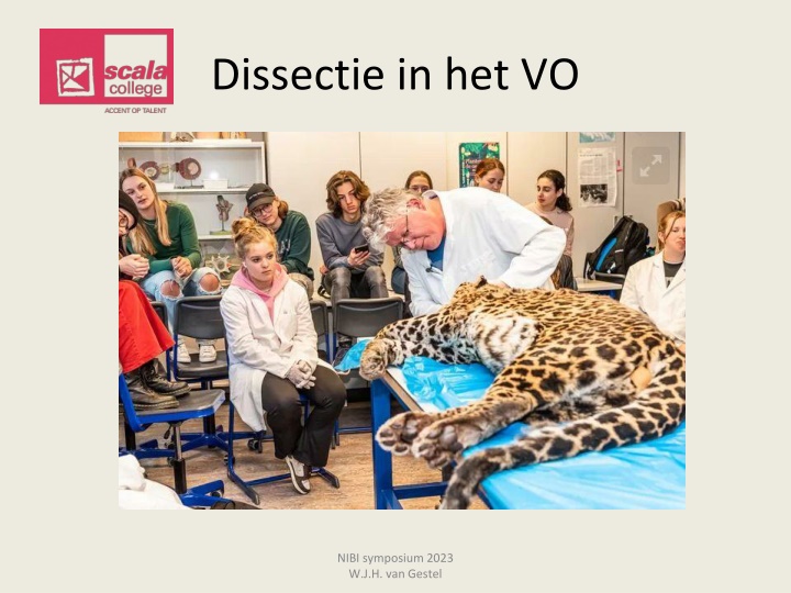 dissectie in het vo