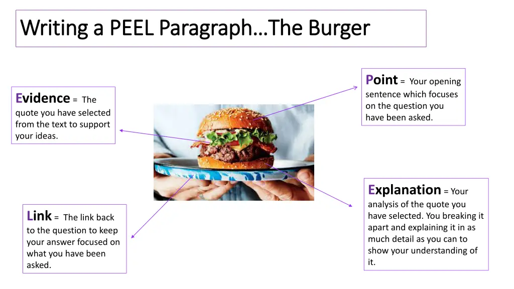 writing a peel paragraph the burger writing