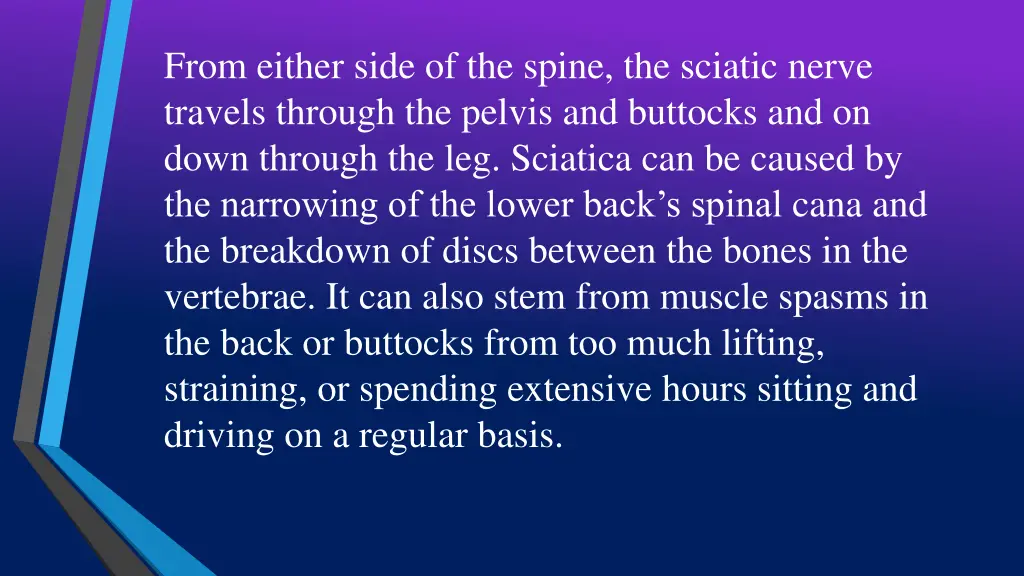 from either side of the spine the sciatic nerve