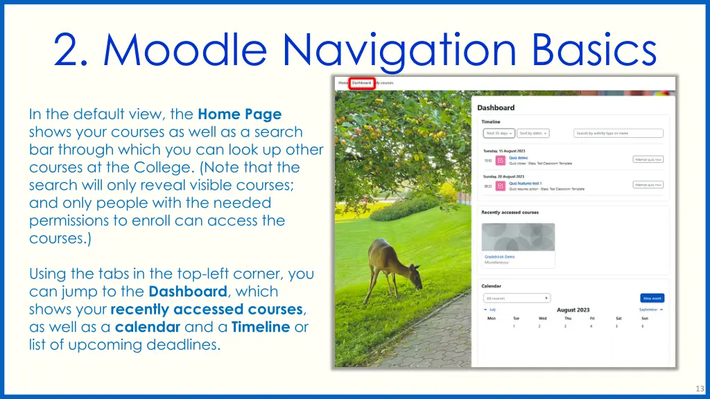 2 moodle navigation basics