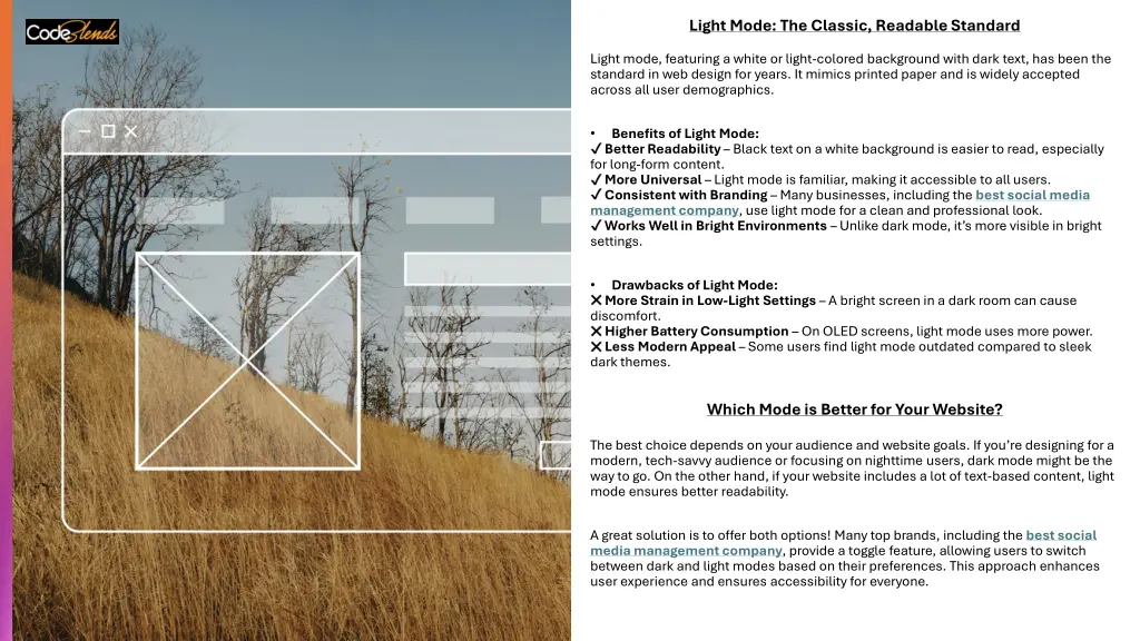 light mode the classic readable standard