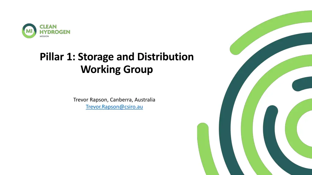 pillar 1 storage and distribution working group