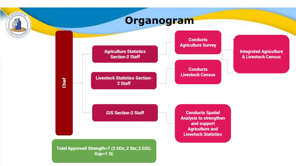 organogram