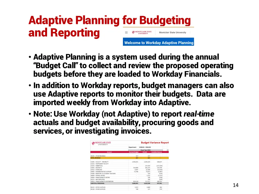 adaptive planning for budgeting and reporting