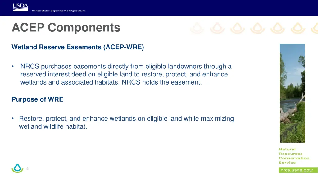 acep components 1