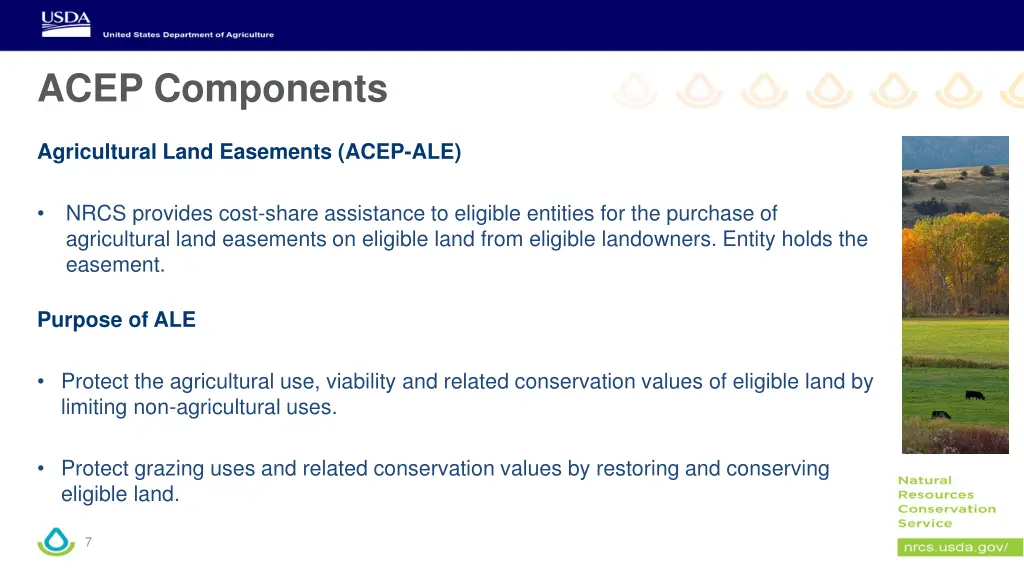 acep components