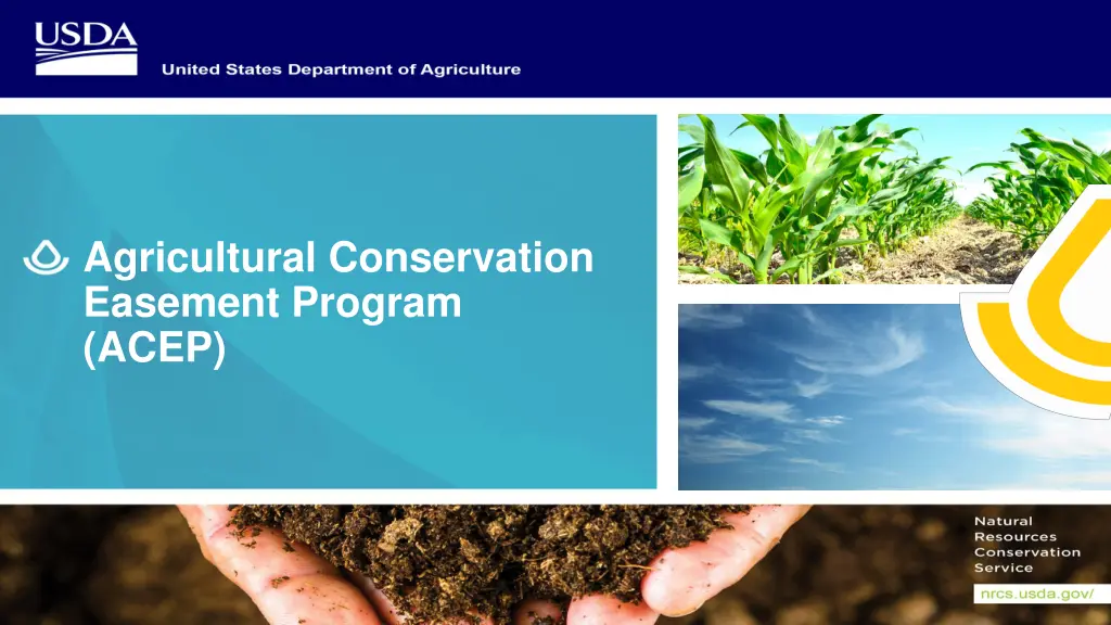 agricultural conservation easement program acep