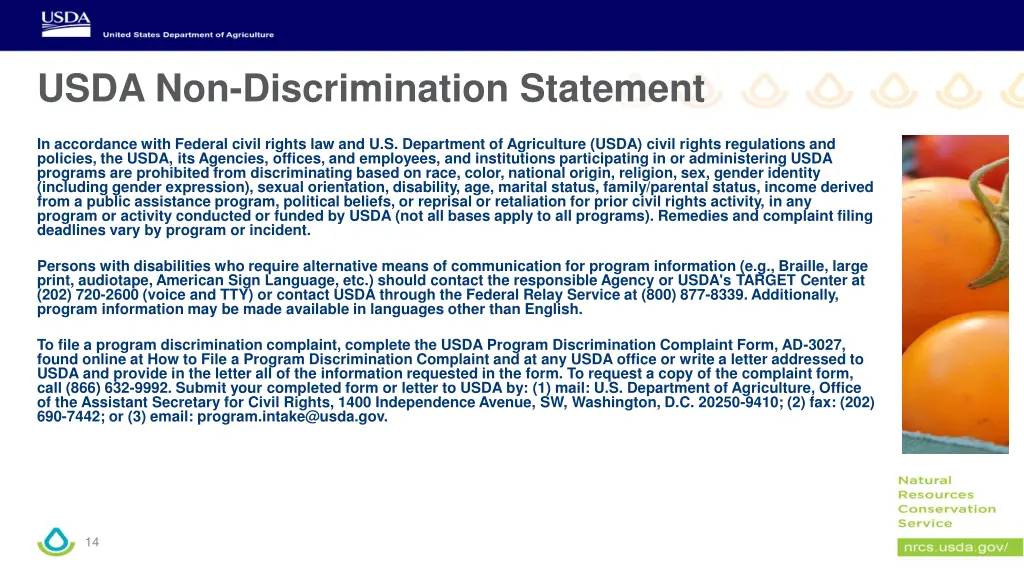 usda non discrimination statement