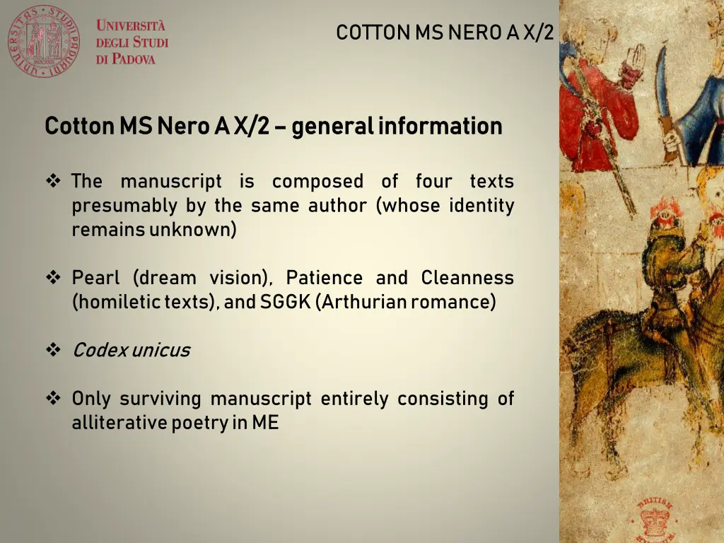 cotton ms nero a x 2