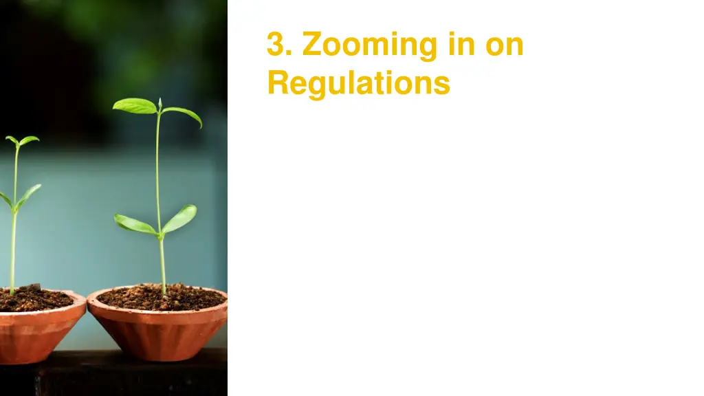 3 zooming in on regulations