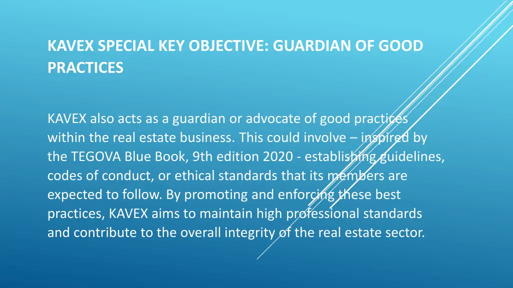 kavex special key objective guardian of good