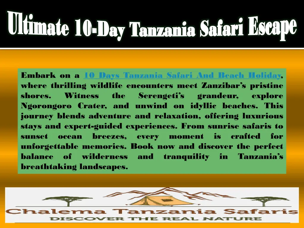ultimate 10 day tanzania safari escape 3
