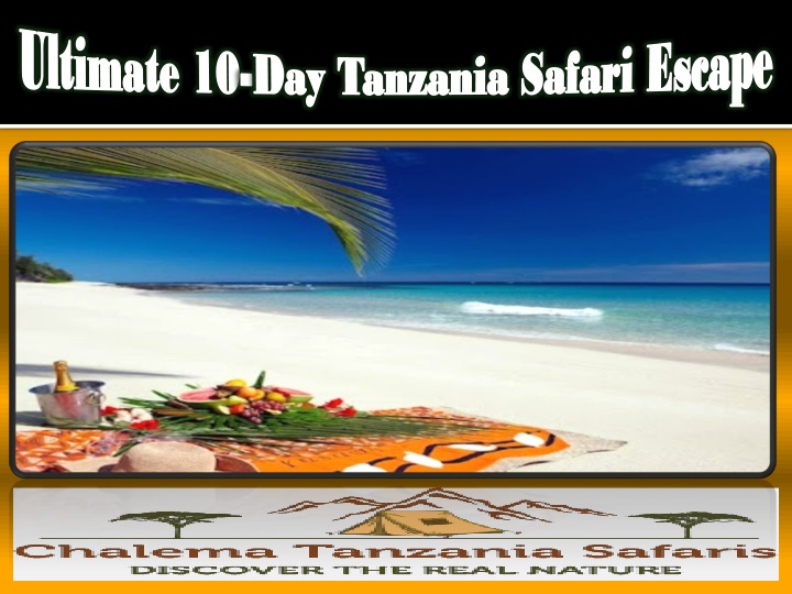 ultimate 10 day tanzania safari escape
