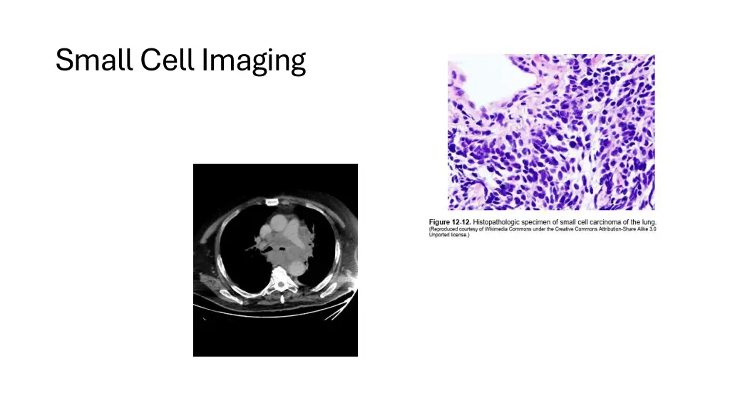 small cell imaging